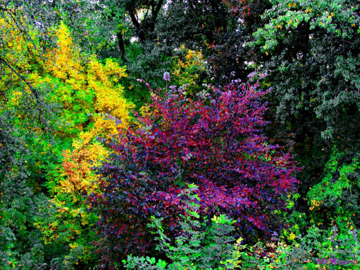 398013 (a): :1600x1200
